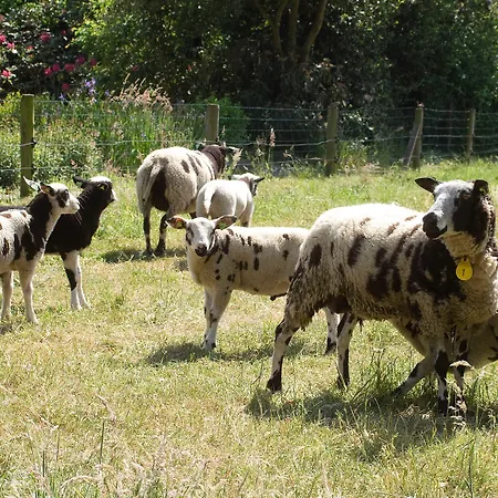 Frühstückspension Erve Fakkert