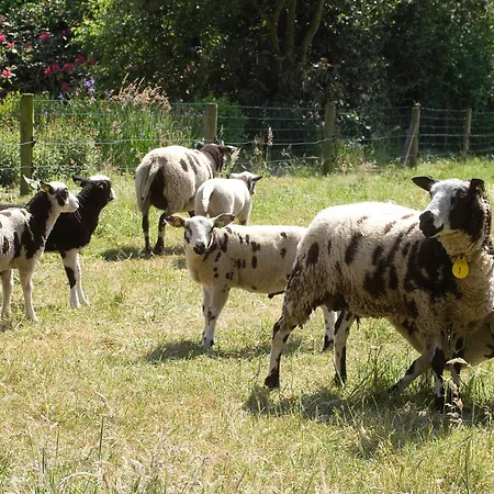 Erve Fakkert Rossum (Overijssel)